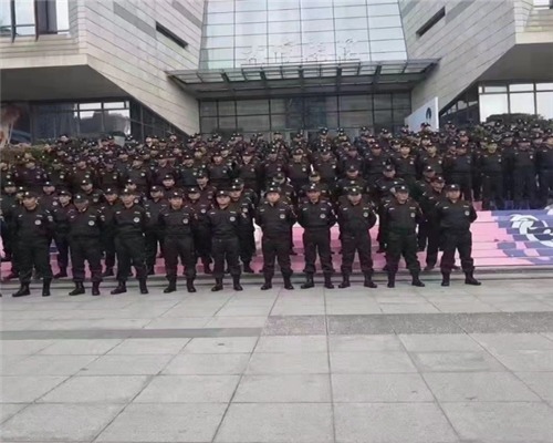 常規保安人力護衛服務